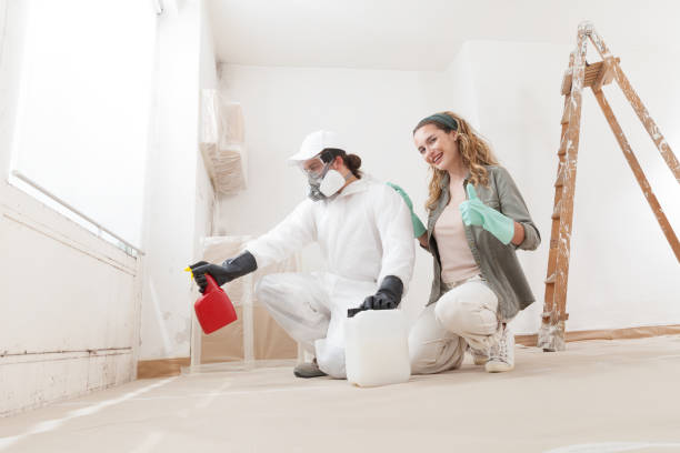 Mold Odor Removal Services in Summerfield, MD